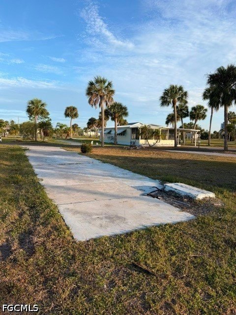 Picture 5