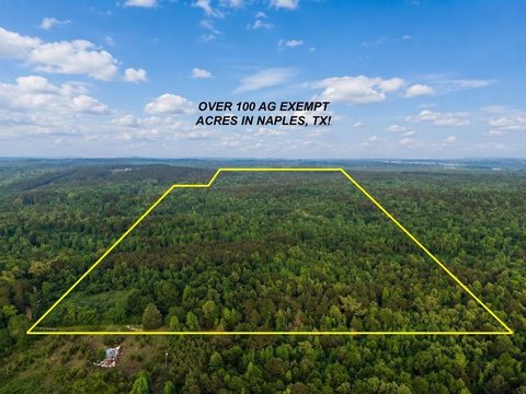Unrestricted Acreage South of Naples