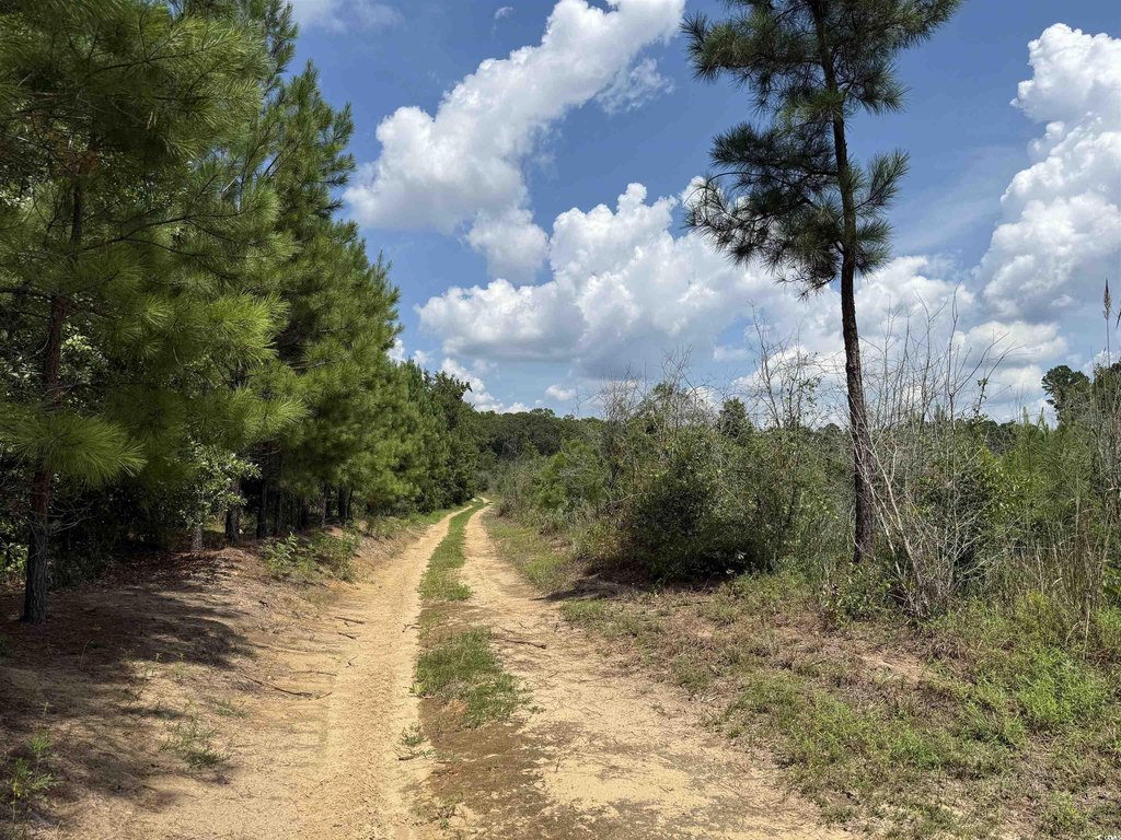 Picture 22