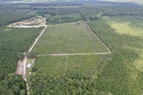97+/- Acres Hunting Land