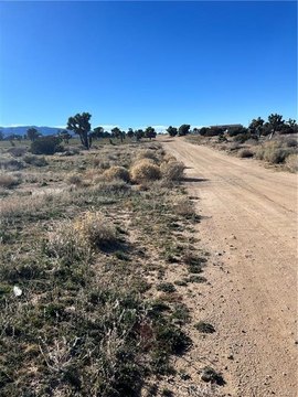 Phelan Land For Sale
