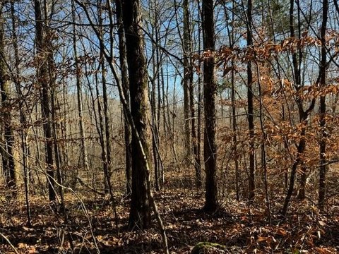 Unrestricted Acreage in Clay County