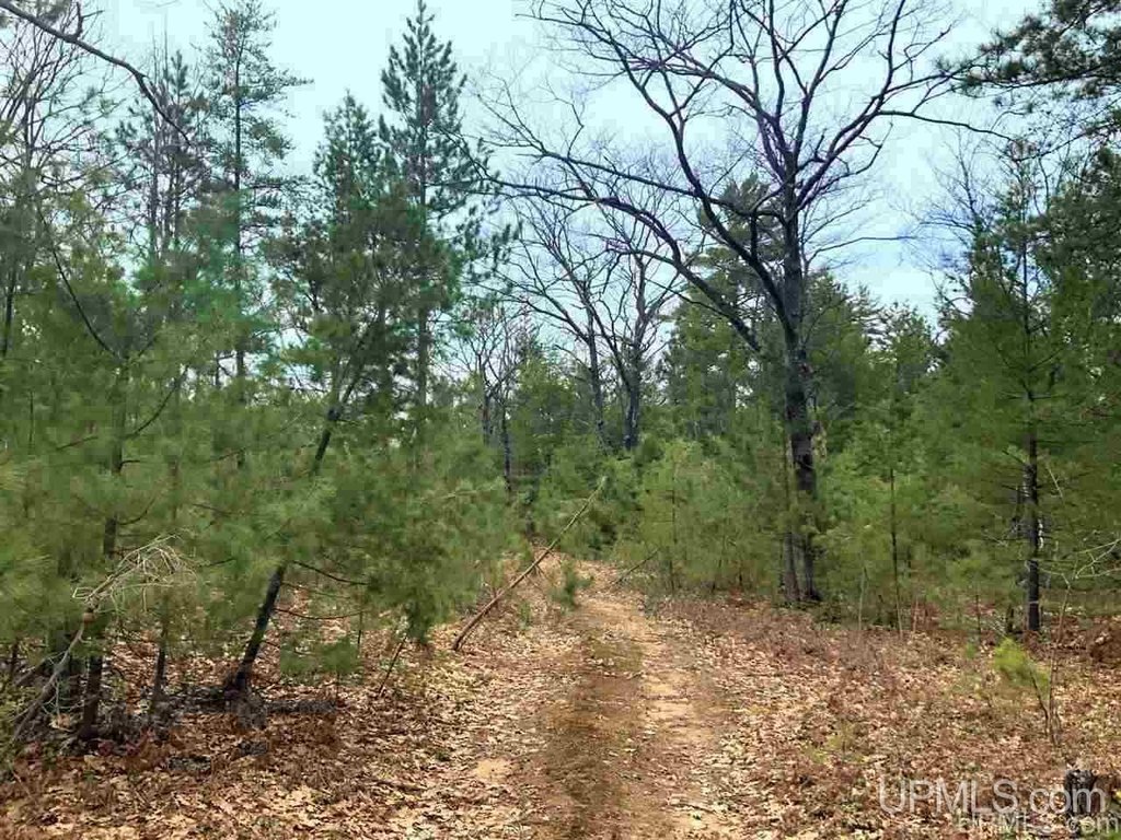 Picture 18