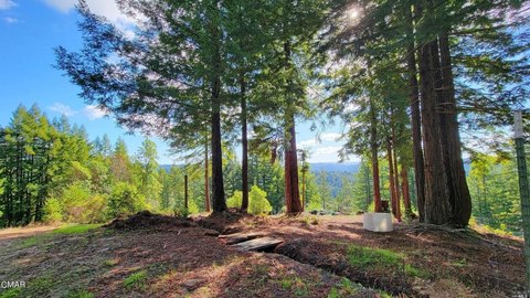 Comptche Acreage with Marketable Timber