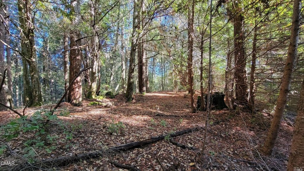 Picture 14