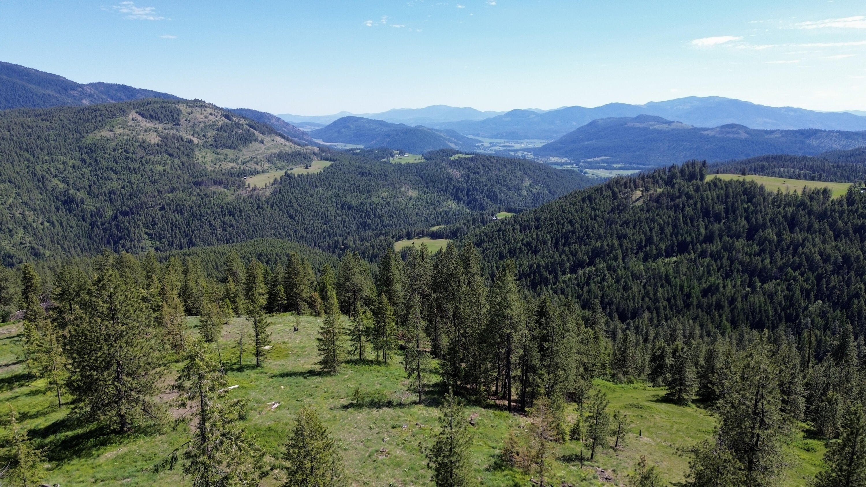 100 Acres Timber Property
