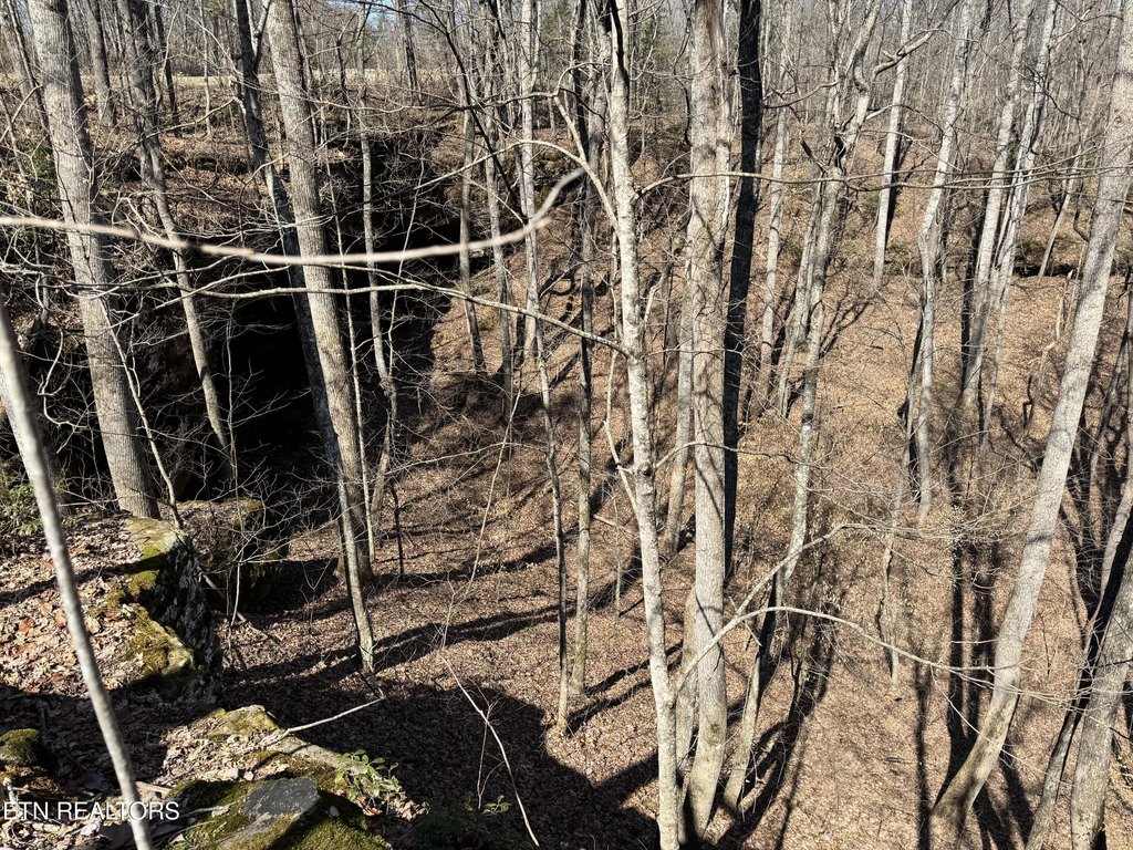 Picture 14