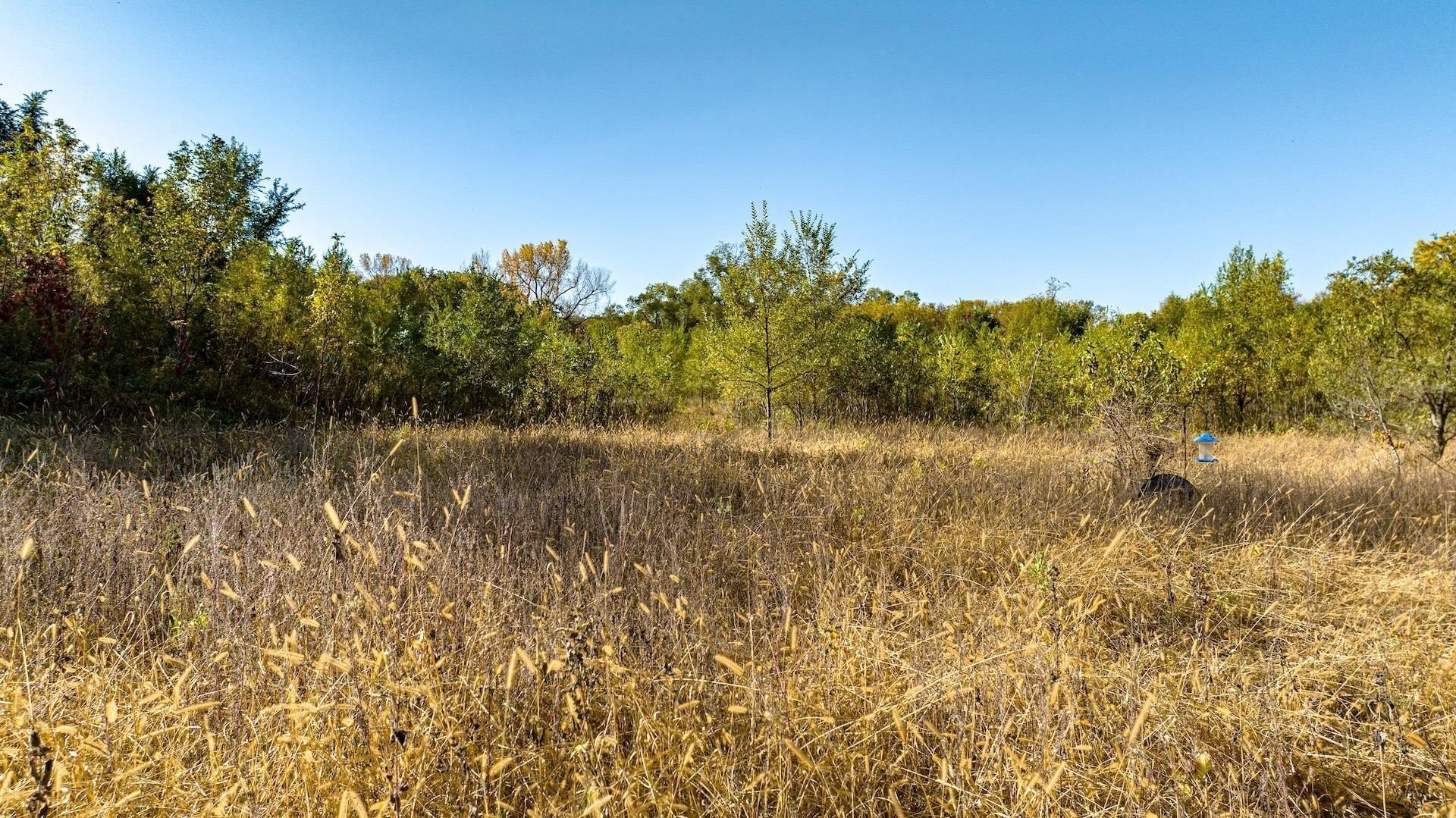 Janesville Buildable Land Near River