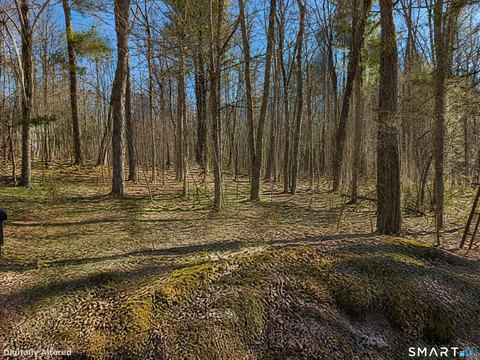 Approved Building Lot in Torrington