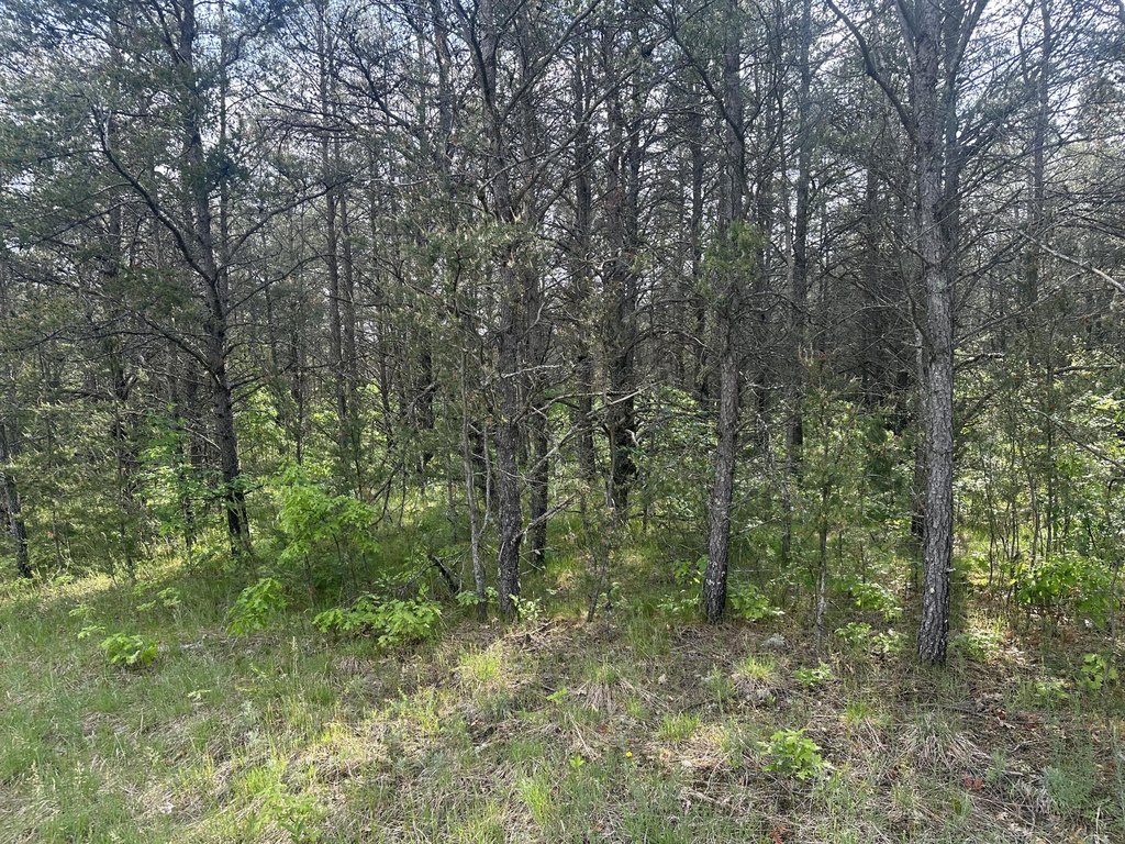 Picture 3