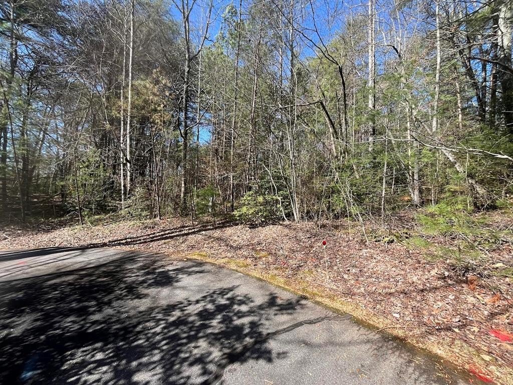 Hayesville Vacant Lot in Community