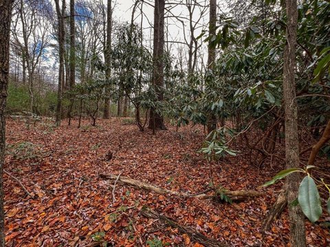 LAND - Fancy Gap, VA