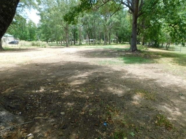 Picture 7