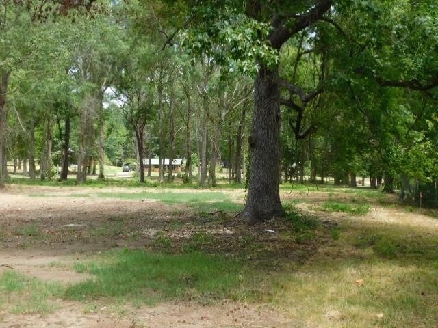 Picture 4