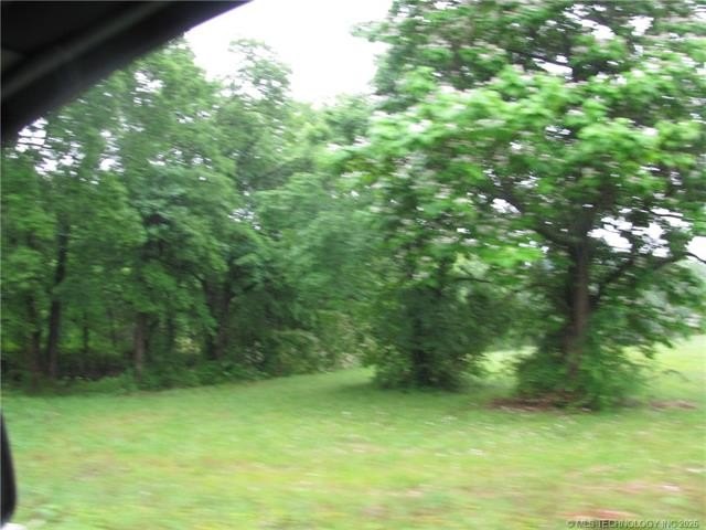 Picture 3