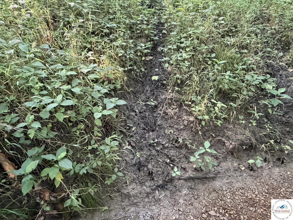 Picture 30