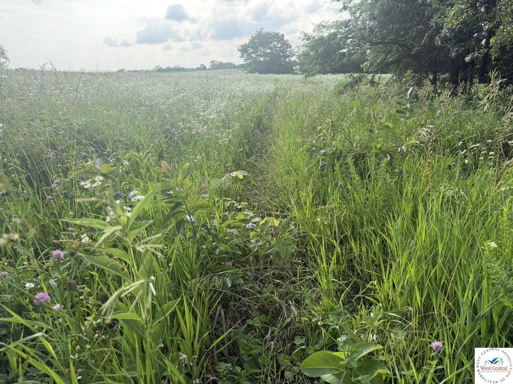 Picture 19