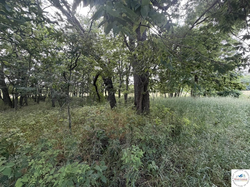 Picture 12