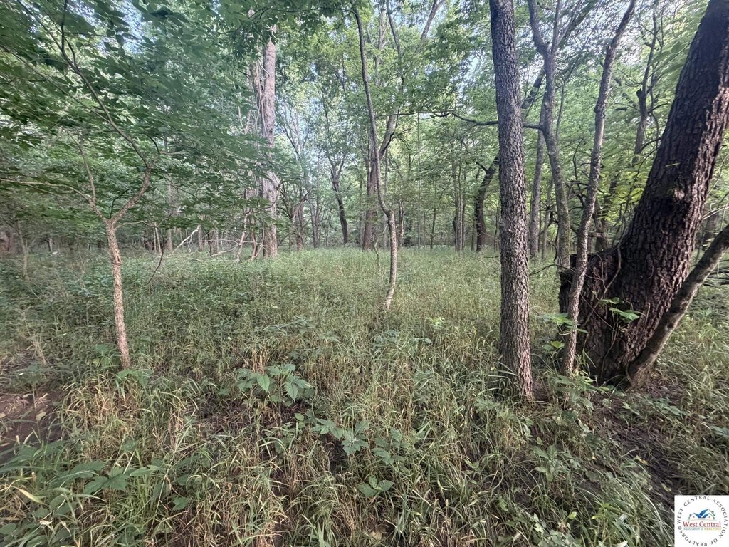 Picture 4