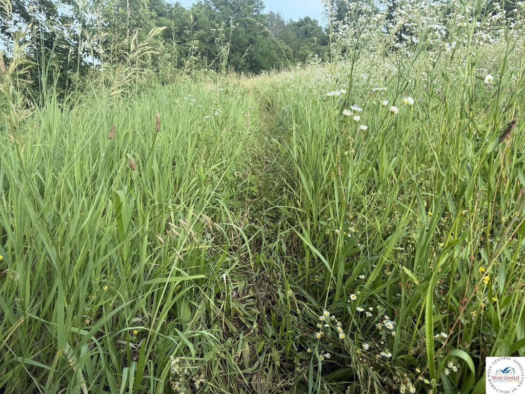 Picture 21