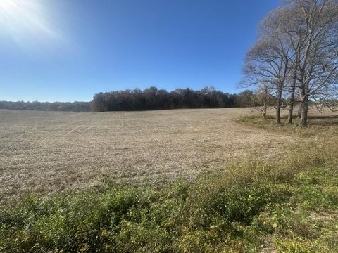 6.3 Acres of Open Land
