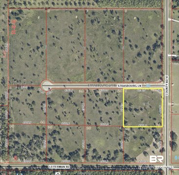 Residential Lot in Elberta, AL
