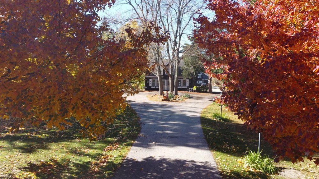 Picture 19