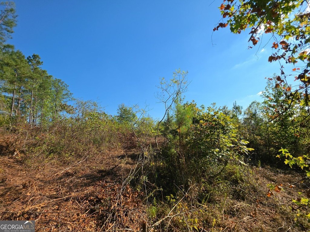 Picture 10
