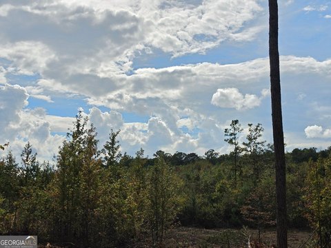 Land, Franklin, GA