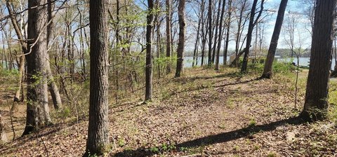 Tennessee River Waterfront Land
