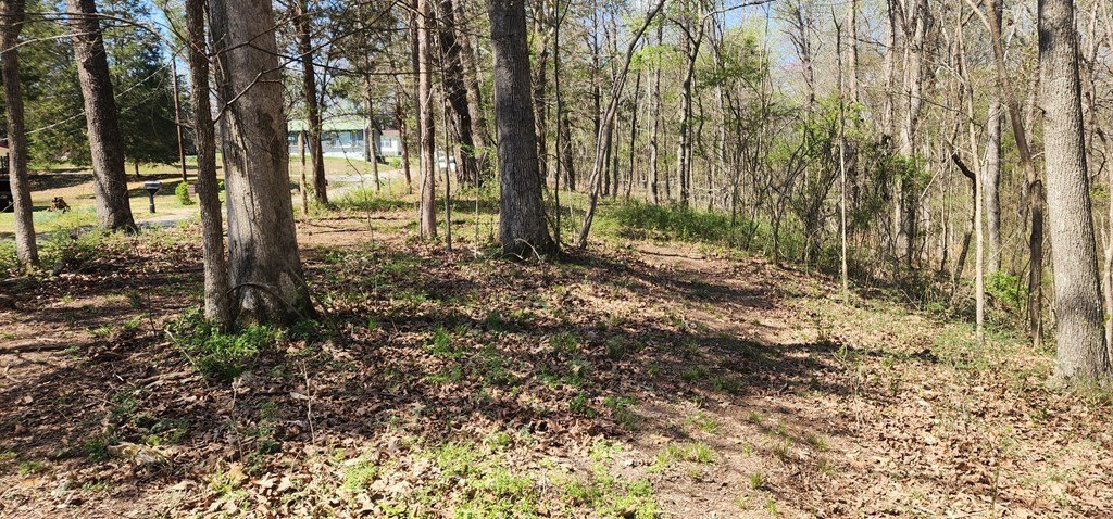 Picture 3