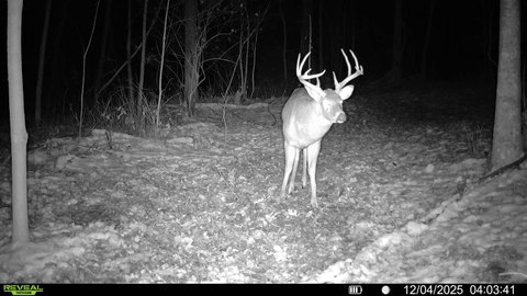 Hardwood Ridge Hunting Tract