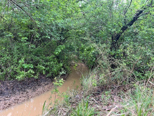 Picture 23