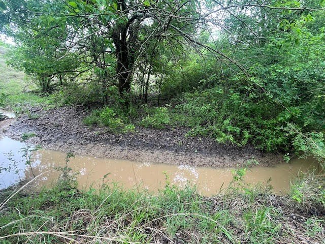 Picture 25