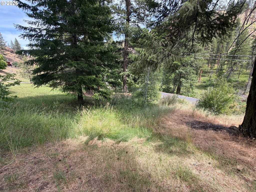 Picture 15