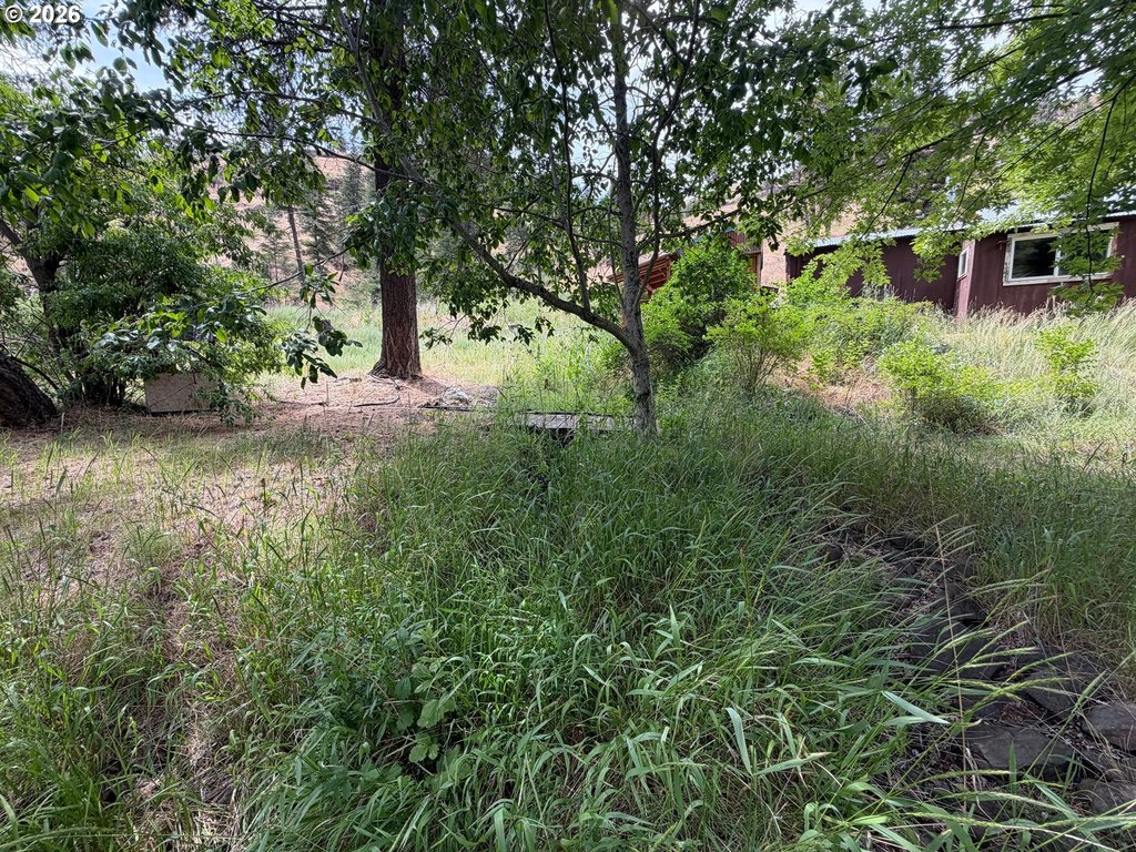 Picture 19