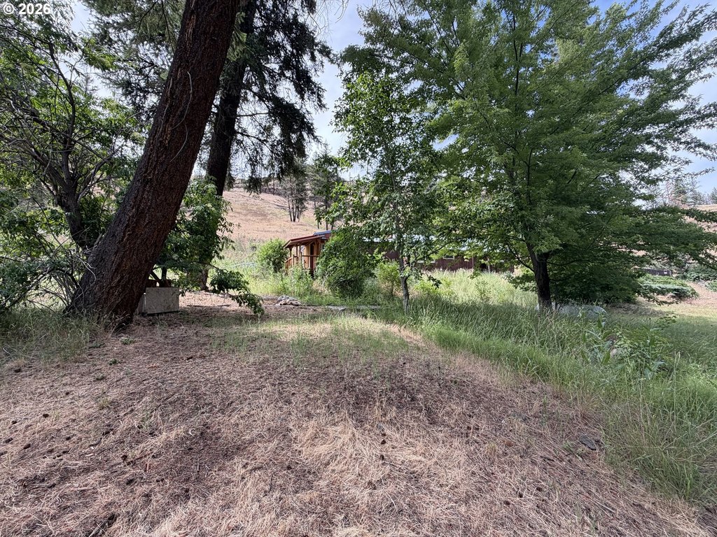 Picture 20