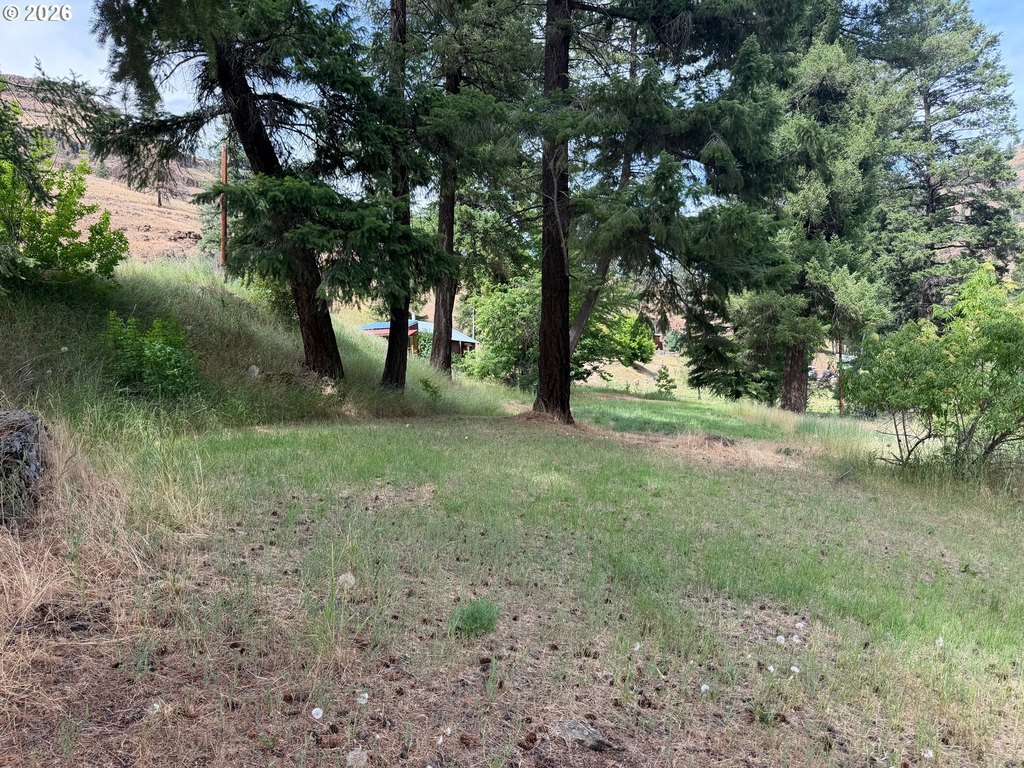 Picture 17