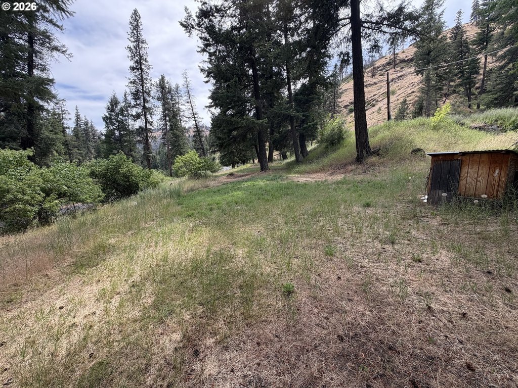 Picture 27