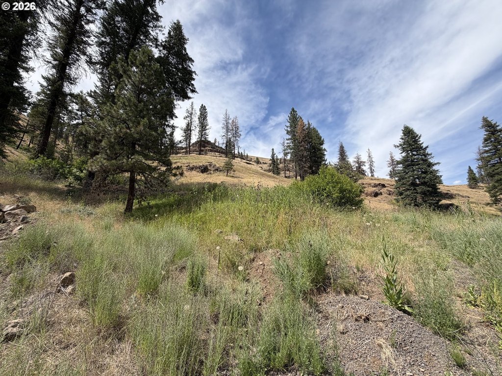 Picture 23