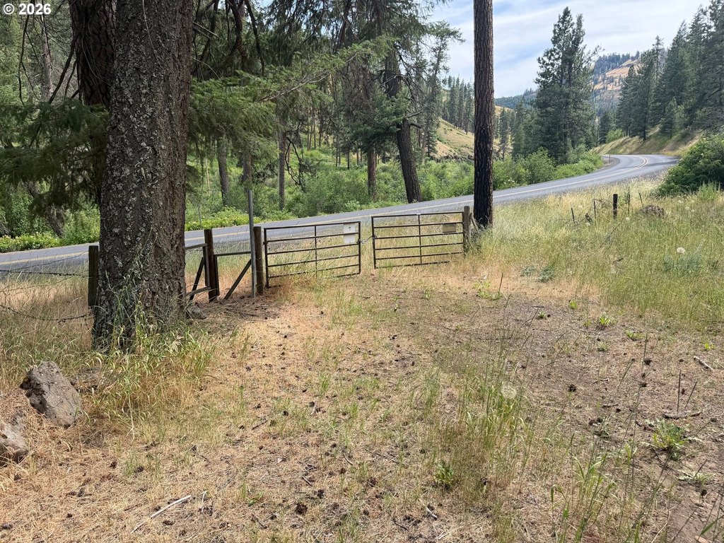 Picture 21
