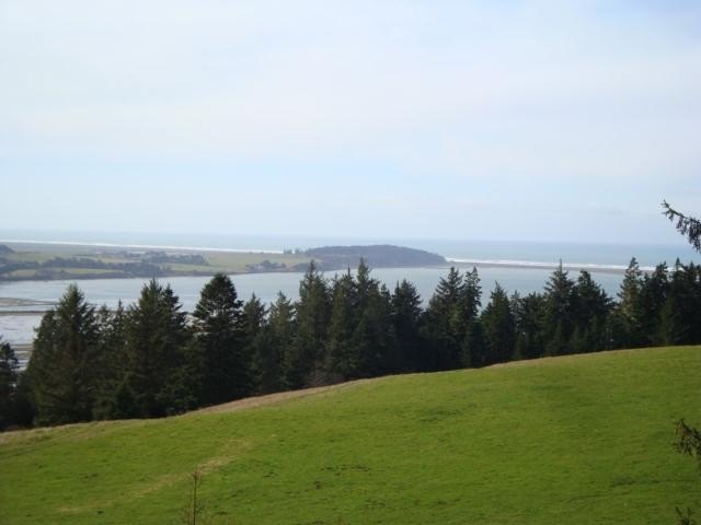 146 Acres Near College