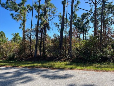 Port Charlotte Land Opportunity