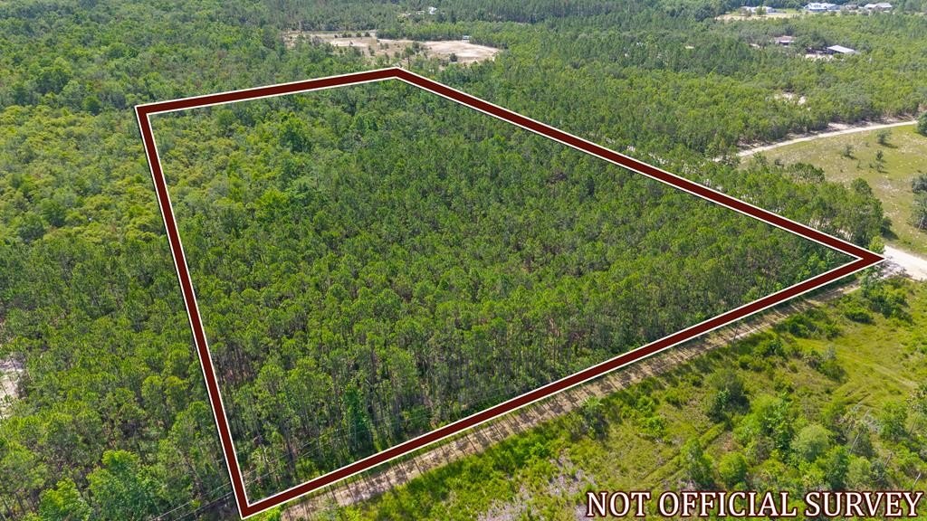 Land Near Steinhatchee, Florida