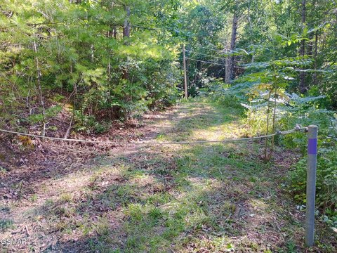 Land in Tellico Plains, TN