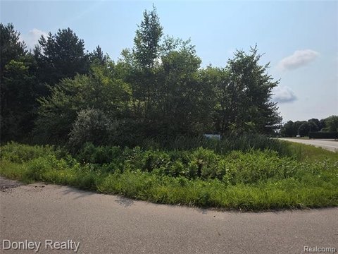 Residential Lots in Marlette, MI