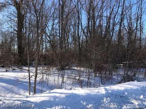 Residential Lots in Marlette, MI