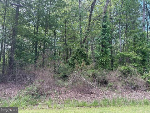 Land in Chestertown, Maryland