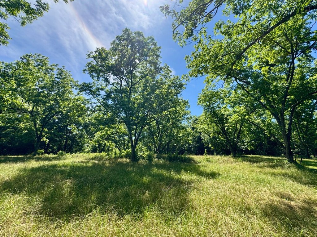 Picture 24