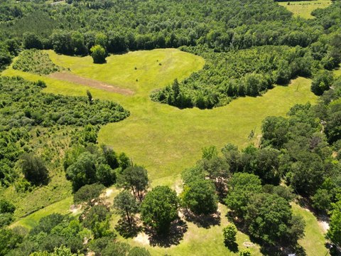 Recreational Hunting Tract with Pecan Grove